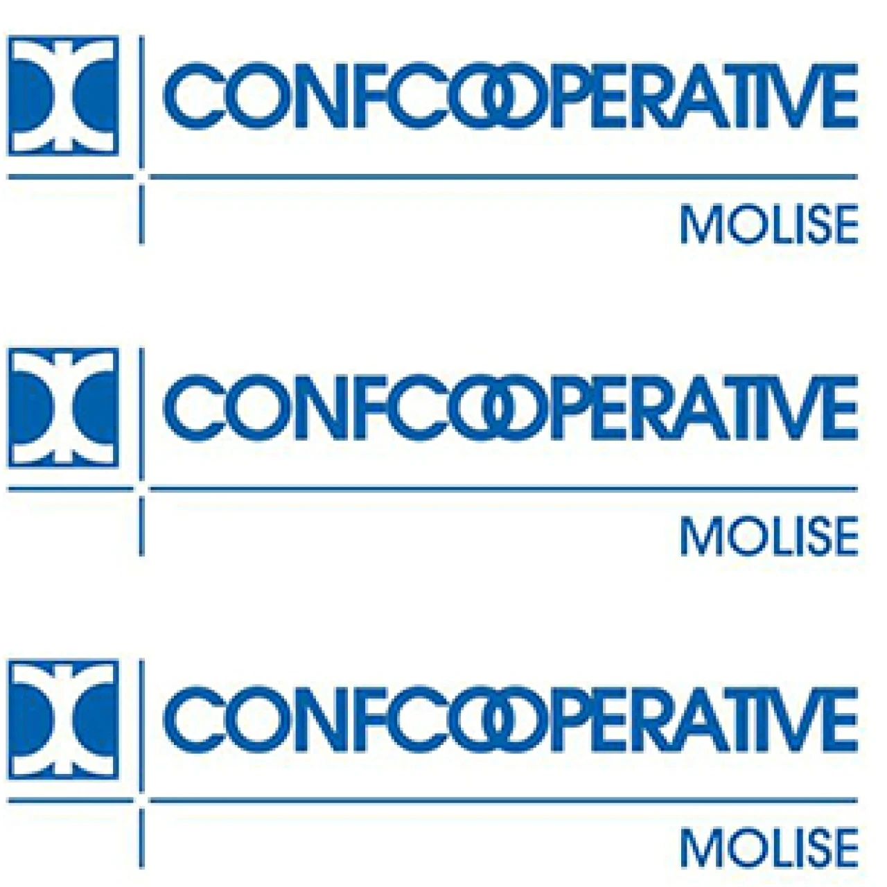 Banner Confcooperative 306 per 306 pixel